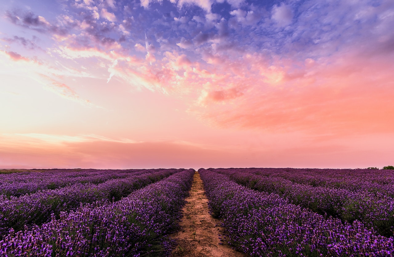 lavender_spa_3.jpg